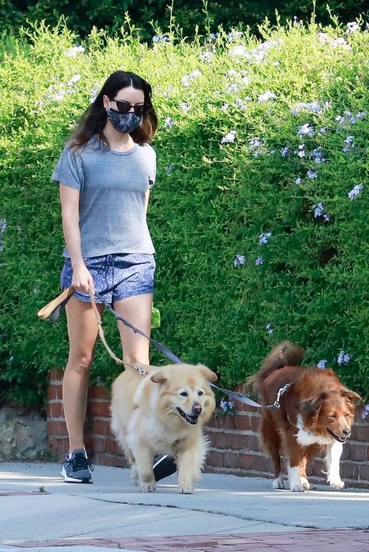 AUBREY PLAZA Out with Her Dogs in Los Angeles 10/17/2020