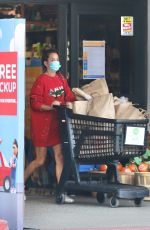 BROOKE BURKE Out Shopping in Malibu 10/08/2020