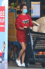 BROOKE BURKE Out Shopping in Malibu 10/08/2020