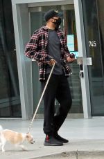 CAMILA MENDES Out Walks with Her Dog in Vancouver 10/03/2020