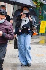 CHLOE SEVIGNY Out in New York 10/17/2020