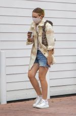 DAKOTA FANNING Out and About in Studio City 10/22/2020