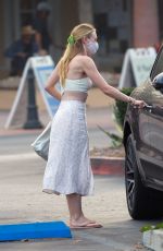 DAKOTA FANNING Out with Friends in Malibu 10/05/2020