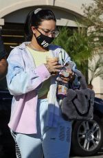 DEMI LOVATO Out and About in Los Angeles 10/13/2020