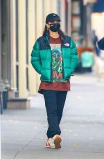 EMILY RATAJKOWSKI Shopping at Whole Foods in New yYork 10/12/2020