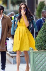 FAMKE JANSSEN in a Yellow Dress Out Friends New York 10/15/2020