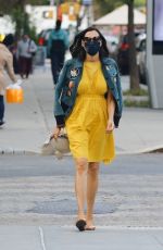 FAMKE JANSSEN in a Yellow Dress Out in New York 10/01/2020