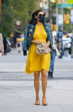 FAMKE JANSSEN in a Yellow Dress Out in New York 10/01/2020