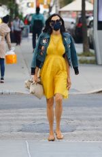 FAMKE JANSSEN in a Yellow Dress Out in New York 10/01/2020