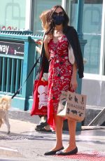 FAMKE JANSSEN Out in New York 09/30/2020