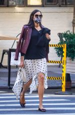 FAMKE JANSSEN Out in New York 10/06/2020