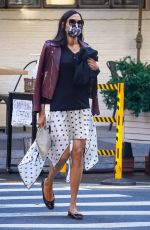 FAMKE JANSSEN Out in New York 10/06/2020