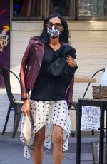 FAMKE JANSSEN Out in New York 10/06/2020