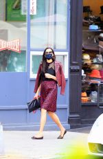 FAMKE JANSSEN Out in New York 10/21/2020