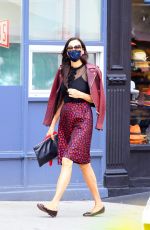 FAMKE JANSSEN Out in New York 10/21/2020