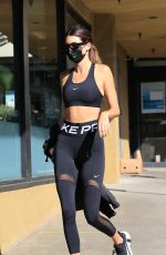 HAILEY BIEBER, KENDALL JENNER and JUSTINE SKYE at Earth Bar in West Hollywood 10/27/2020