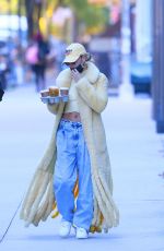 HAILEY BIEBER Out for a Coffee in Los Angeles 10/17/2020
