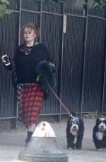 HELENA BONHAM CARTER and Rye Dag Holmboen Out with Their Dogs in London 10/07/2020