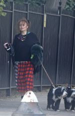 HELENA BONHAM CARTER and Rye Dag Holmboen Out with Their Dogs in London 10/07/2020