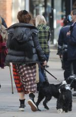 HELENA BONHAM CARTER and Rye Dag Holmboen Out with Their Dogs in London 10/07/2020