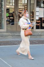 HILARY DUFF Out in New York 10/17/2020