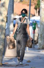 JORDANA BREWSTER in Overalls Out in Los Angeles 10/11/2020