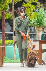 JORDANA BREWSTER Out with Her Dog in Malibu 10/25/2020