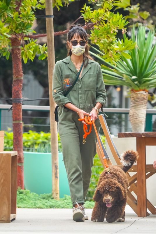 JORDANA BREWSTER Out with Her Dog in Malibu 10/25/2020