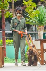 JORDANA BREWSTER Out with Her Dog in Malibu 10/25/2020