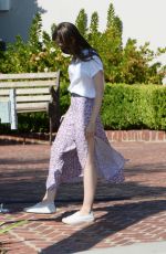 LILY COLLINS Out in Beverly Hills 10/06/2020