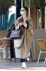 LILY JAMES Out Shopping for Flowers in Primrose Hill 10/08/2020