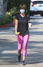 LISA RINNA Out and About in Los Angeles 10/11/2020