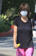 LISA RINNA Out and About in Los Angeles 10/11/2020