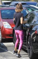 LISA RINNA Out and About in Los Angeles 10/11/2020