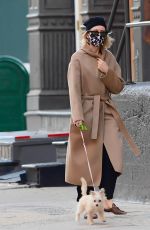 NAOMI WATTS Out with Her Dog in New York 10/07/2020