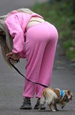 NICOLA MCLEAN Out with Her Dog in London 10/23/2020