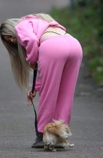 NICOLA MCLEAN Out with Her Dog in London 10/23/2020