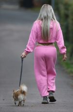 NICOLA MCLEAN Out with Her Dog in London 10/23/2020