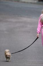 NICOLA MCLEAN Out with Her Dog in London 10/23/2020