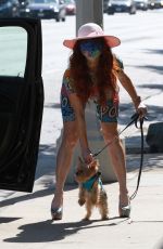 PHOEBE PRICE Out with Her Dog Henry in Los Angeles 10/16/2020