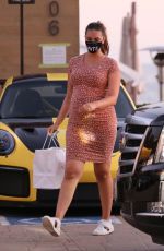 Pregnant APRIL LOVE GEARY Out for Dinner at Nobu in Malibu 10/13/2020