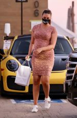 Pregnant APRIL LOVE GEARY Out for Dinner at Nobu in Malibu 10/13/2020