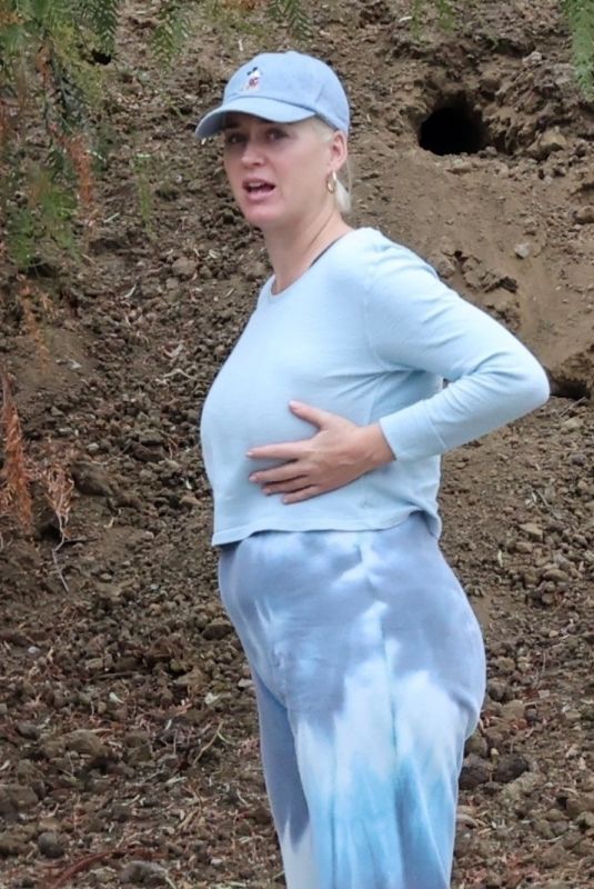 Pregnant KATY PERRY Out With Her Dog on Her Birthday in Los Angeles 10/25/2020