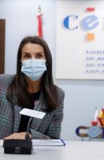 QUEEN LETIZIA OF SPAIN at Meeting with Spanish Committee of Representatives of People with Disabilities 10/27/2020