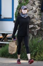 RENEE ZELLWEGER Out with Her Dogs in Santa Monica 10/11/2020