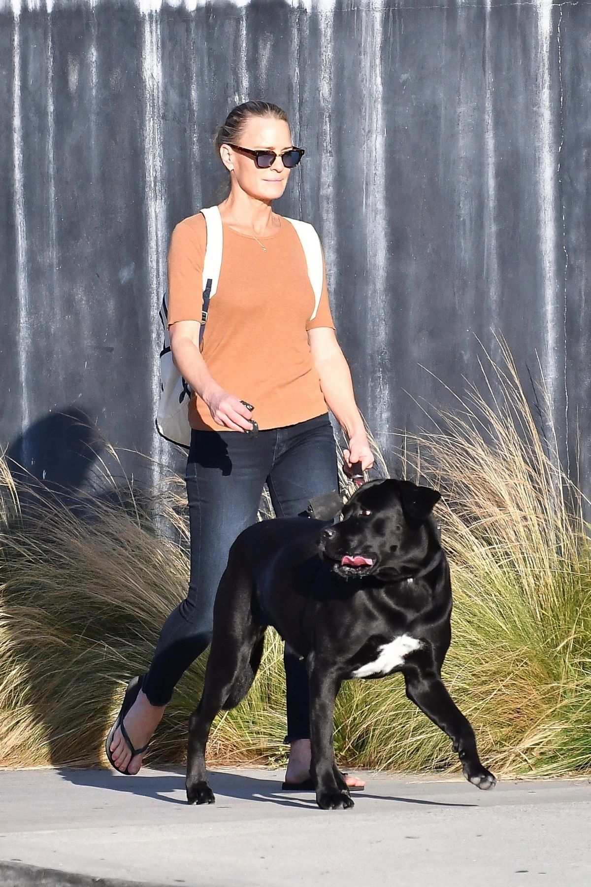 robin-wright-out-with-her-dog-in-brentwood-10-12-2020-9.jpg