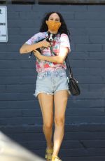 RUMER WILLIS in Denim SHorts Out with Her Dog in Los Angeles 10/16/2020