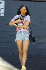 RUMER WILLIS in Denim SHorts Out with Her Dog in Los Angeles 10/16/2020