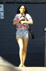 RUMER WILLIS in Denim SHorts Out with Her Dog in Los Angeles 10/16/2020