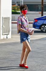 SELMA BLAIR in Denim Shorts Out in Studio City 10/03/2020